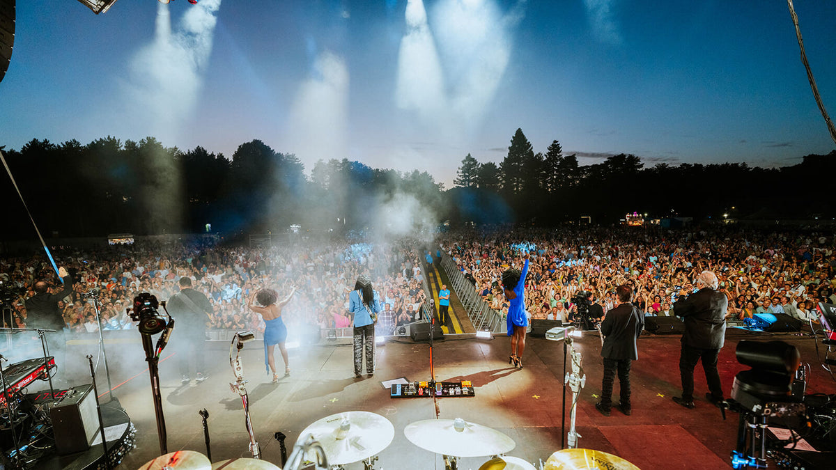 Thetford Forest Gallery - 18 Jun 2026